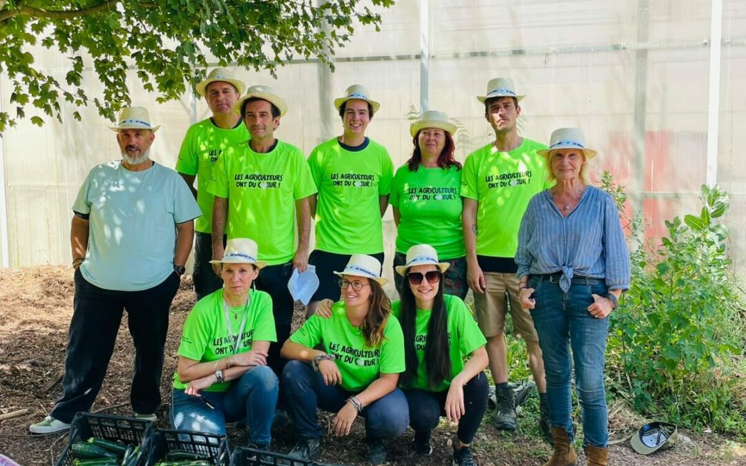 À Graveson, 135 kg de courgettes glanés au nom de la solidarité
