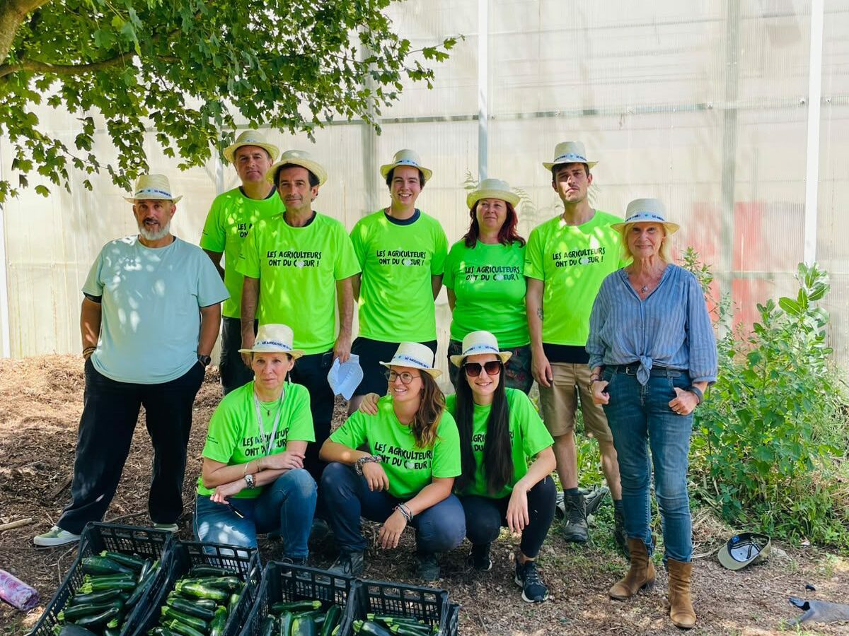 À Graveson, 135 kg de courgettes glanés au nom de la solidarité